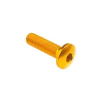 Vite Lightech M6 x 20 Ergal Oro Testa Bombata