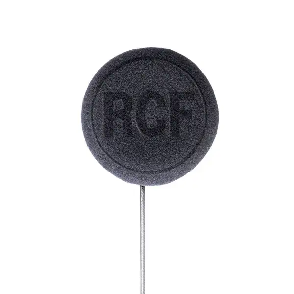 RCF Hi Fi Speaker