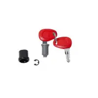 Replacement Z179 Givi pair of keys with bushing