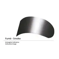 HJC Dark Smoke Visor for C80